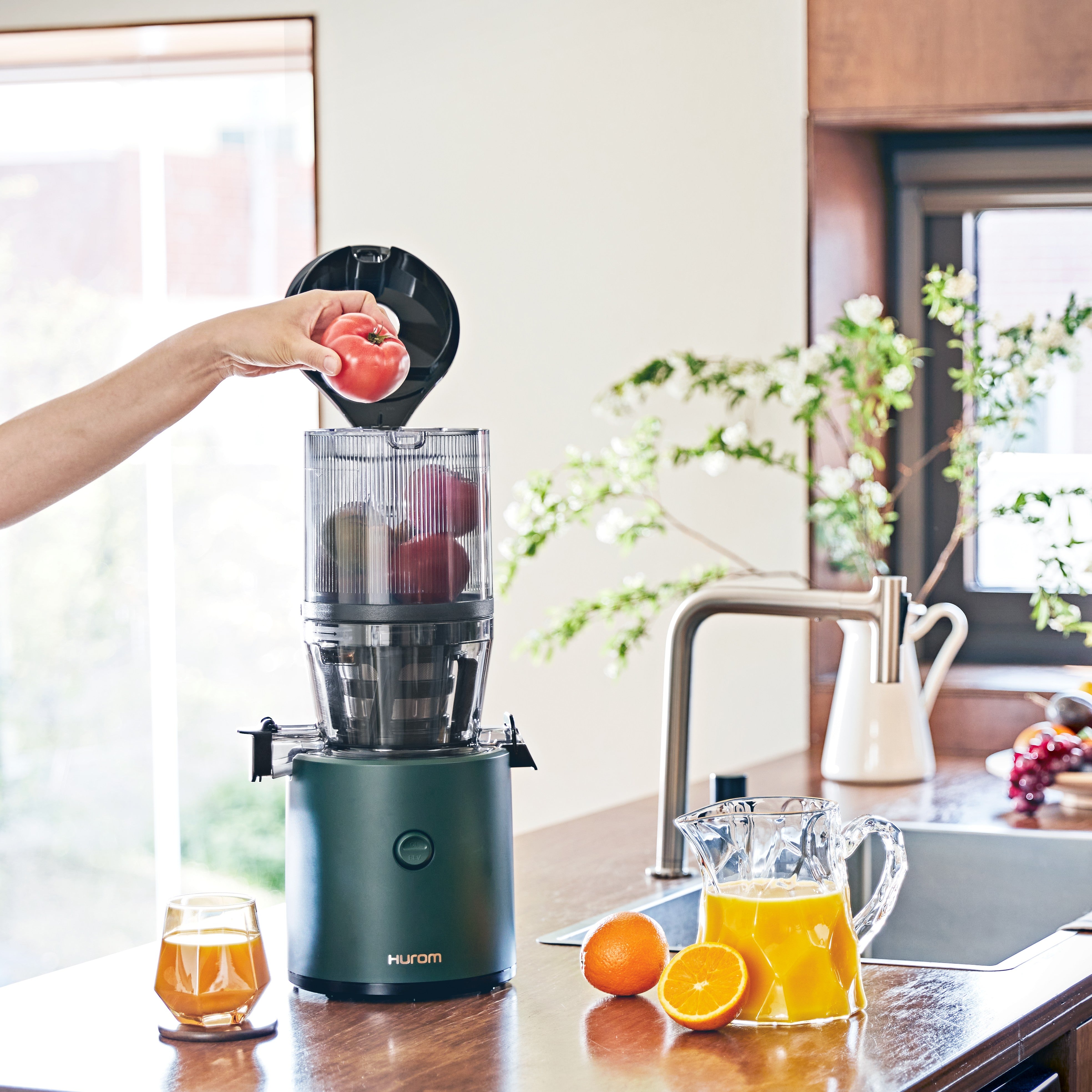 Hurom H320N Slow Juicer