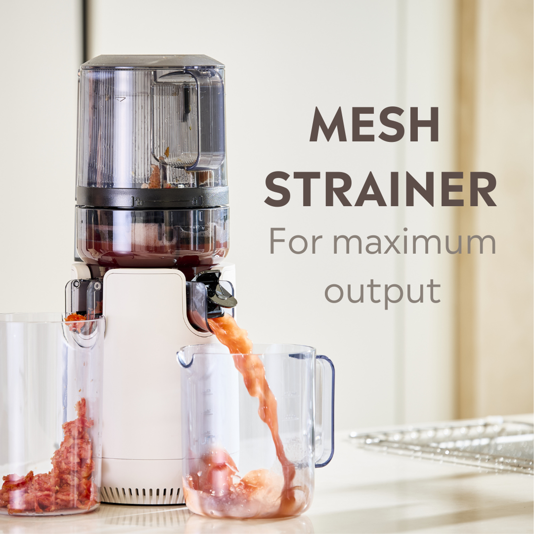 Hurom E50ST Slow Juicer