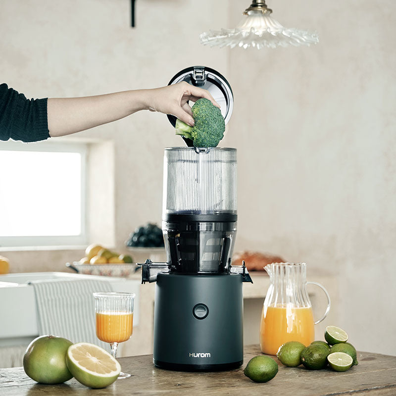 Hurom H320N Slow Juicer