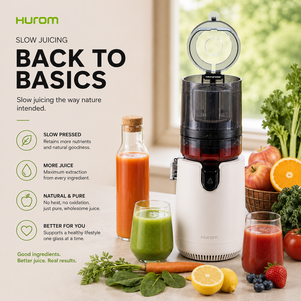 Hurom E50ST Slow Juicer