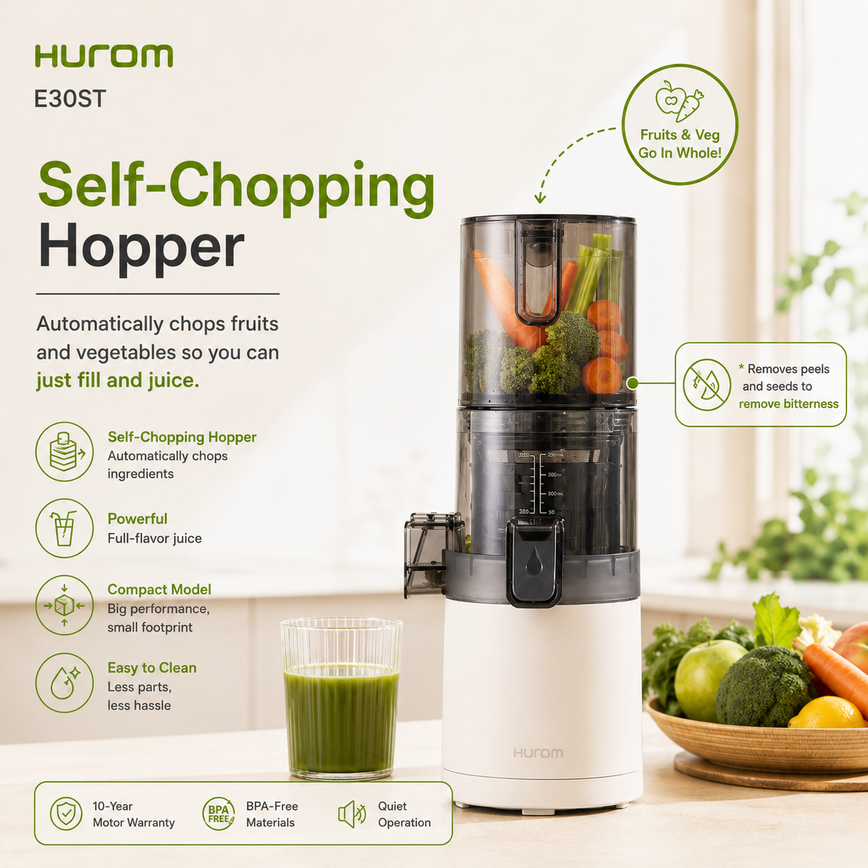 Hurom E30ST Slow Juicer