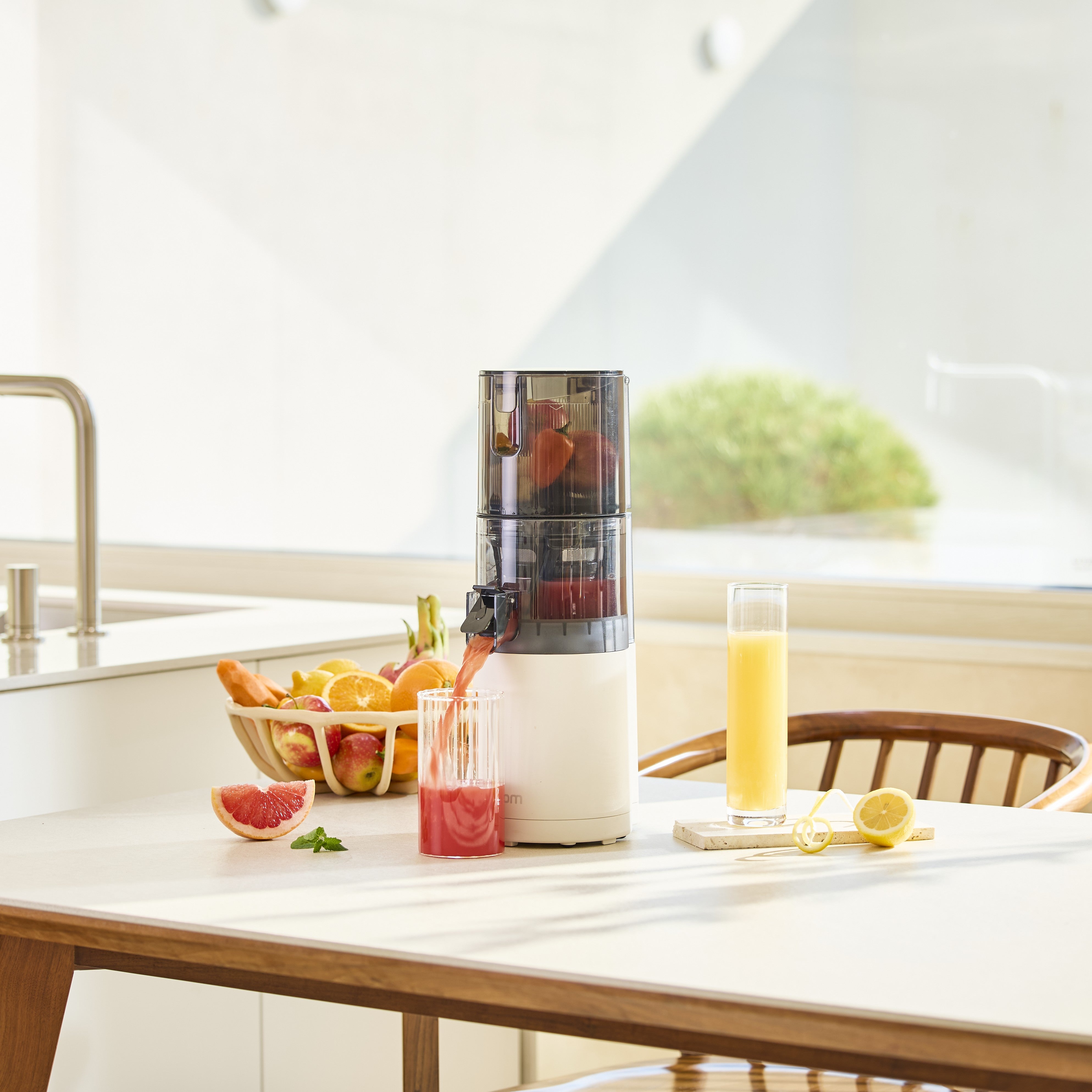 Hurom E30ST Slow Juicer