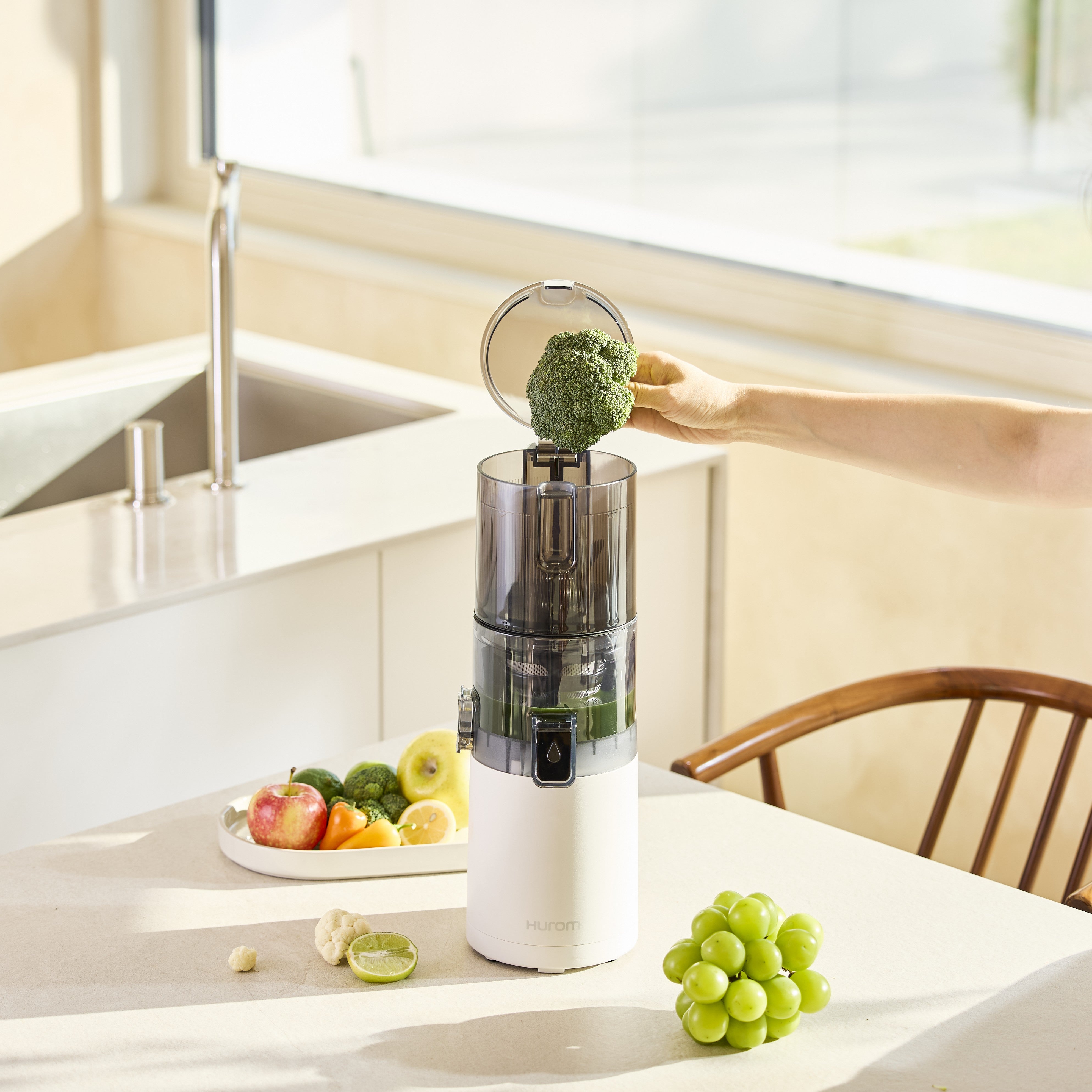 Hurom E30ST Slow Juicer