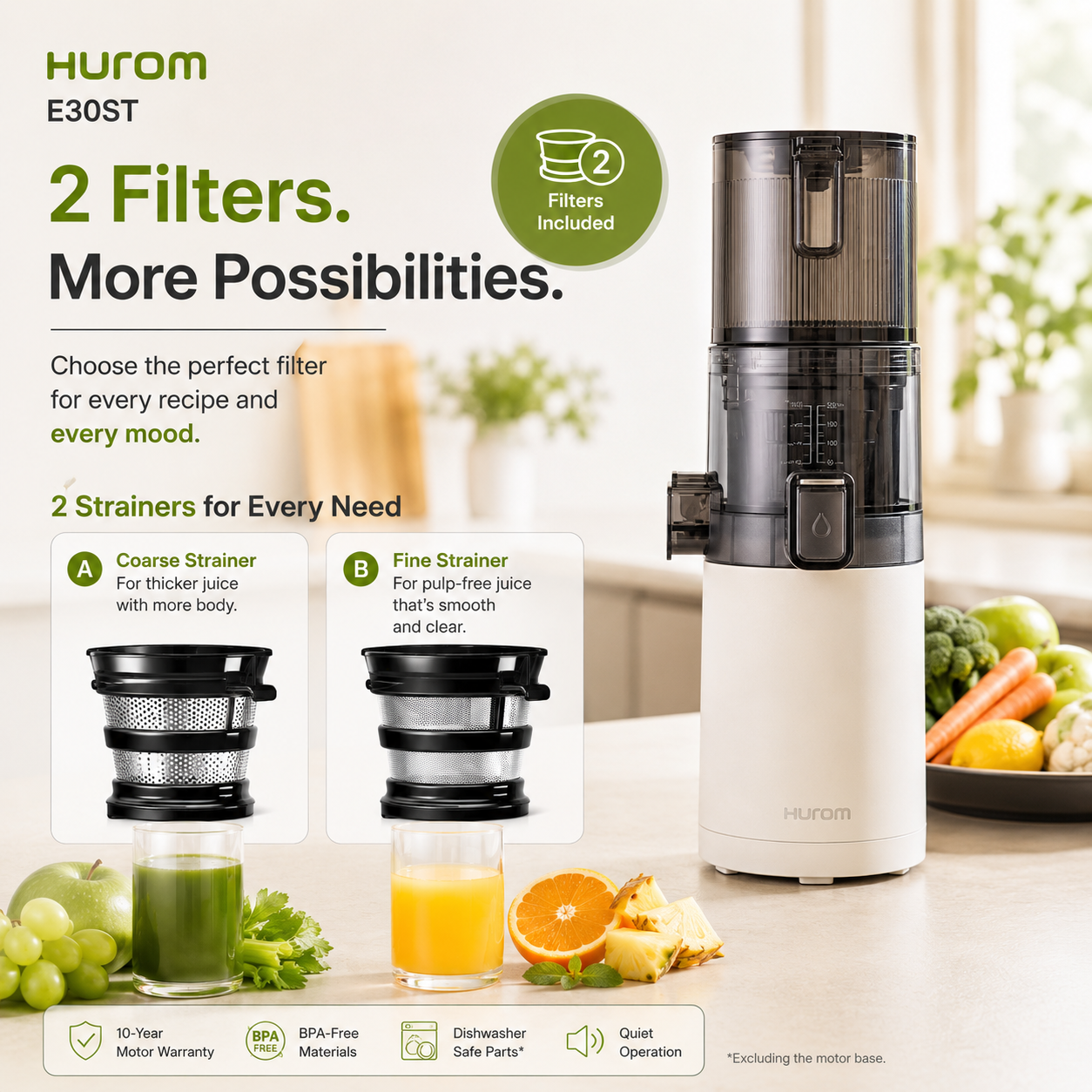 Hurom E30ST Slow Juicer